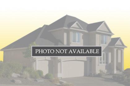119 Juniper Springs, 127916, Nogal, Single Family Residence,  for sale, Esme Sanchez, KW Casa Ideal 
